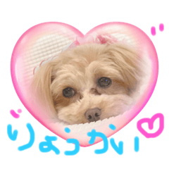 Maichi_20230822222711