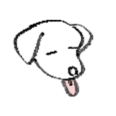 happy_akkun