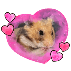 sakura_20230822205628