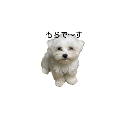 Mochi Collection Remake