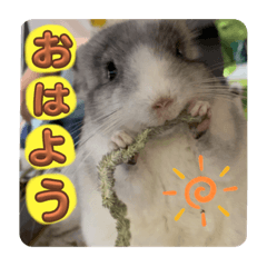 fuwa_20230822170744