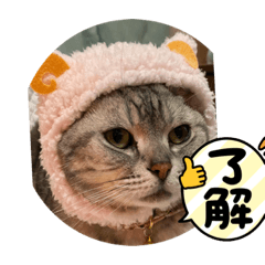 nao_20230822191842