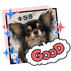 yukari_20230822193004