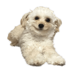 yuka_20230822225931