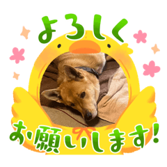 Kana_20230823005837