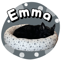 Scottish Terrier Emma