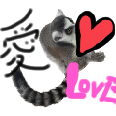 natsumi_20230823004852