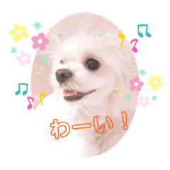 OMOCHI_20230823014837