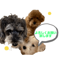 Aoi_20230823134058
