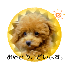 sakura_20230823125727