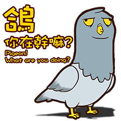 Pigeon!What are you doing?[Text version]