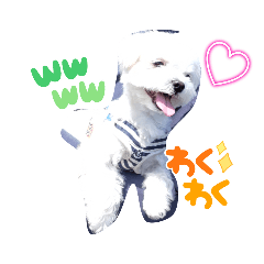 milku_20230823154739