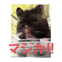 kinhamu_20230823165536
