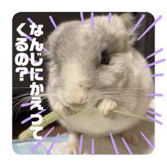fuwa_20230823170213
