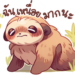 Cute Sloths Lazy Funny : Big Stickers