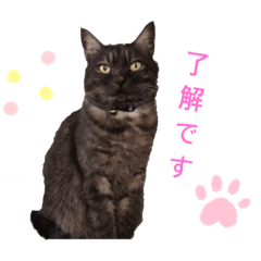 chisa_20230823210310