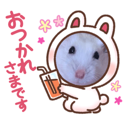 こどんたい