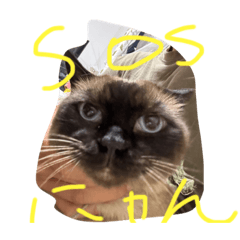 omg_20230823211507