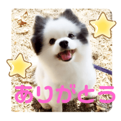 fuwa_20230823212010