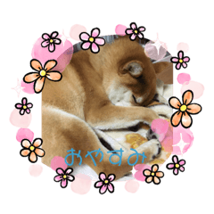 menchan_20230823211857