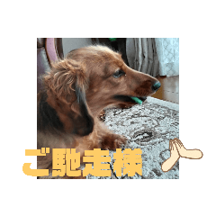 レオとリュウはお友達1