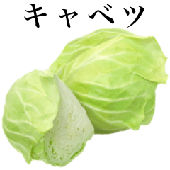 I love cabbage