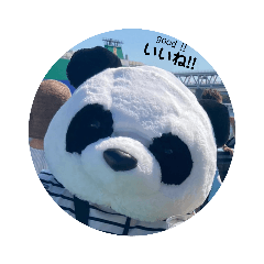 ⑦ kawaike panda ～ いいね！・good！ ～