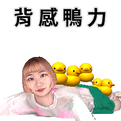 duckpower 4643