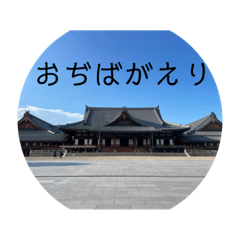 koto_20230823232158