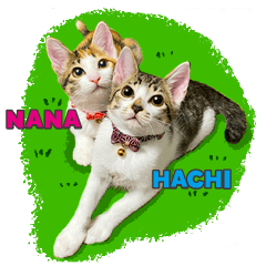 NANA & HACHI Sticker