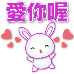 Practical Phrases - Cute White Rabbit