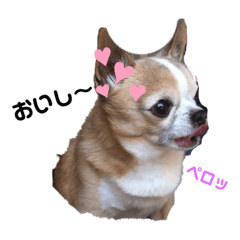 Yukari_20230824202447