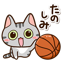 Sticker of American shorthair Cat.9