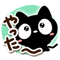 Very cute black cat109