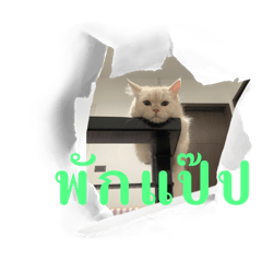 Jack_20230824201156