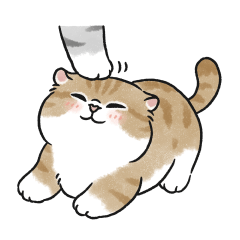 Oba cat11 - ginger cat sticker