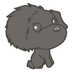 black poodle Teto.