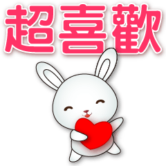 Cute White Rabbit-Useful Phrases