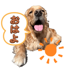 arisa_20230825151840