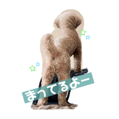 Yuka_20230825093747