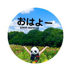 ② kawaike panda ～ 挨拶 ・Greeting ～
