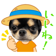 Natsumi_20230825171734