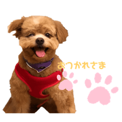 natsumi_20230825175429