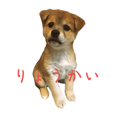 Kana_20230825181046