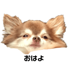 Jack_20230825194422