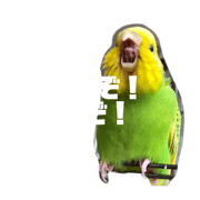 momonoki_20230825202031
