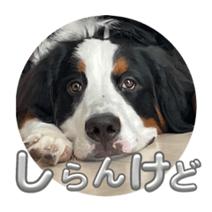 yuka_20230826103706