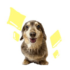 sakura_20230826125836