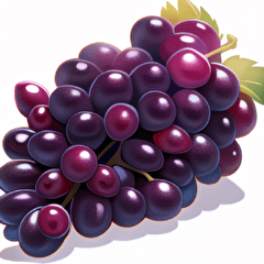 realistic grapes