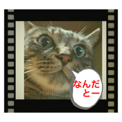 yuto_20230825225541